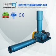 WSR-50羅茨風(fēng)機(jī)