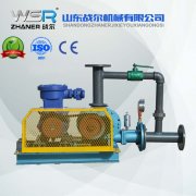 WSR-80石油行業(yè)專用羅茨風(fēng)機(jī)