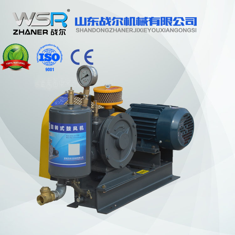 實驗室污水用回轉(zhuǎn)風機